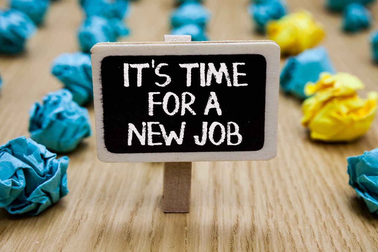 La CVthèque, c'est 100% cadres, 100% intérim